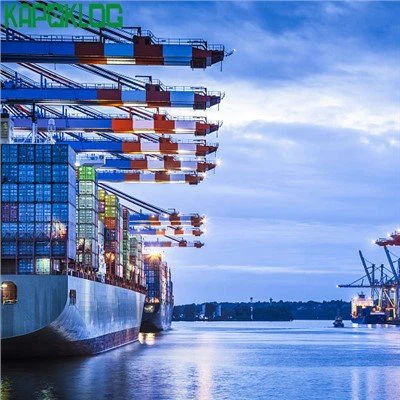 DDP Fast Sea Freight 중국 화물 운송업체