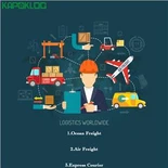 DHL UPS Airfreight Aereo Express 운송